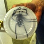 photo (4).JPG