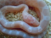 DSCN4527.JPG
