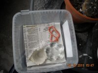 dscn1555.jpg
