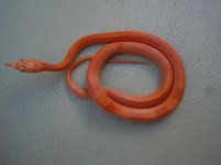 Sparky 6.jpg Sparky 6.jpg