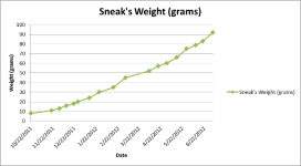 SneakGrowthChart_scale.png