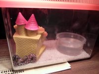 Ekans tank pic.jpg