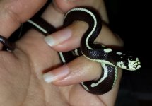 20130727_210153 (800x560).jpg