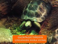 Slide043.jpg Slide043.jpg