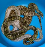 Walters Tesseras-2.jpg