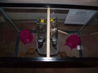 New mouse cage 2.JPG