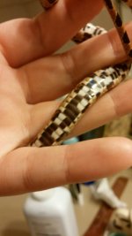 uploadfromtaptalk1391811235675.jpg uploadfromtaptalk1391811235675.jpg