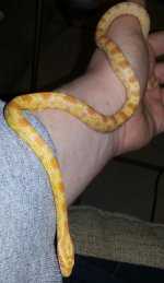 20130317_005225.jpg