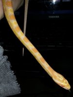 20130317_005423.jpg