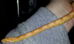 20130317_005429.jpg