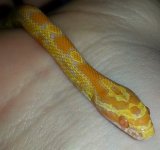 20130317_005808.jpg