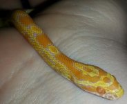 20130317_005811.jpg