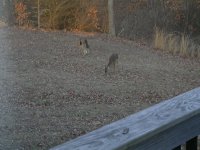 Picture 001.jpg
