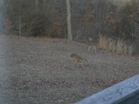 Picture 002.jpg