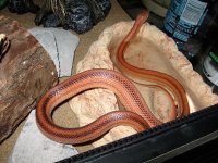 IMG_0744.JPG