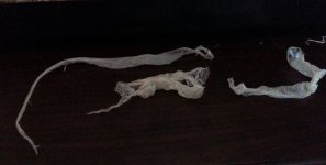 20130701_190518 (800x405).jpg