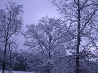 Picture 008-2014.jpg