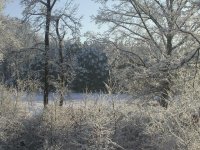 Picture 016-2014.jpg
