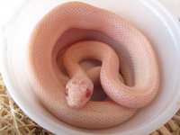 15-29-3M.JPG