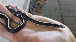 20130929_153859 (800x450).jpg
