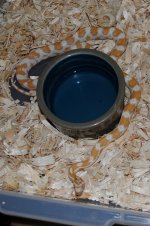 13 butter het cinder.JPG