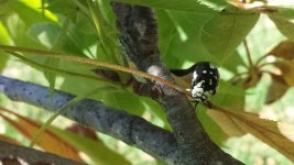 20130929_154419(0) (800x450).jpg