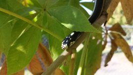 20130929_154544 (800x450).jpg