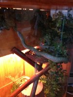 IMG_0293.JPG