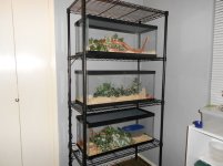 wirerack.jpg