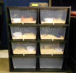 Rack 1.jpg