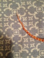 snake kink.jpg