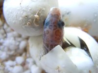 DSCN4740.JPG