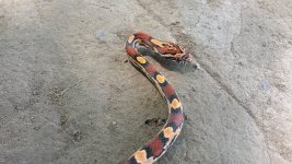 20130707_110035 (800x450).jpg