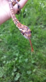20130707_110823 (450x800).jpg