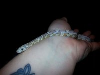 IMG_2014111543877.jpg