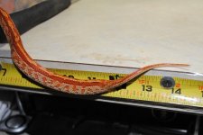 StubbsDSC_0019 - Copy.JPG