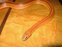 IMG_0769.JPG