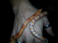 20160221_162441 (768x1024).jpg