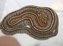 IMG_6096.JPG
