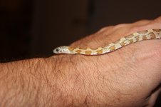 IMG_7383.jpg