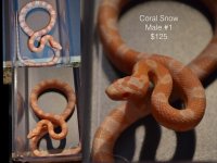 snakes.003.jpg