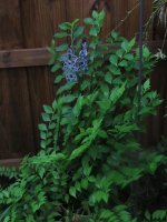 IMG_0007.jpg
