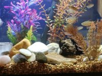 aquarium_revised_sept_2018__1537912423_17598.jpg