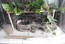 Snake viv 2.jpg