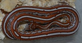 azurite.jpg