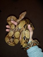IMG_20140302_005958 (600x800).jpg