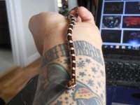 snakeresize3.jpg