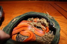IMG_0025.JPG
