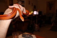 IMG_0026.JPG