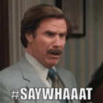say whaaat.gif
